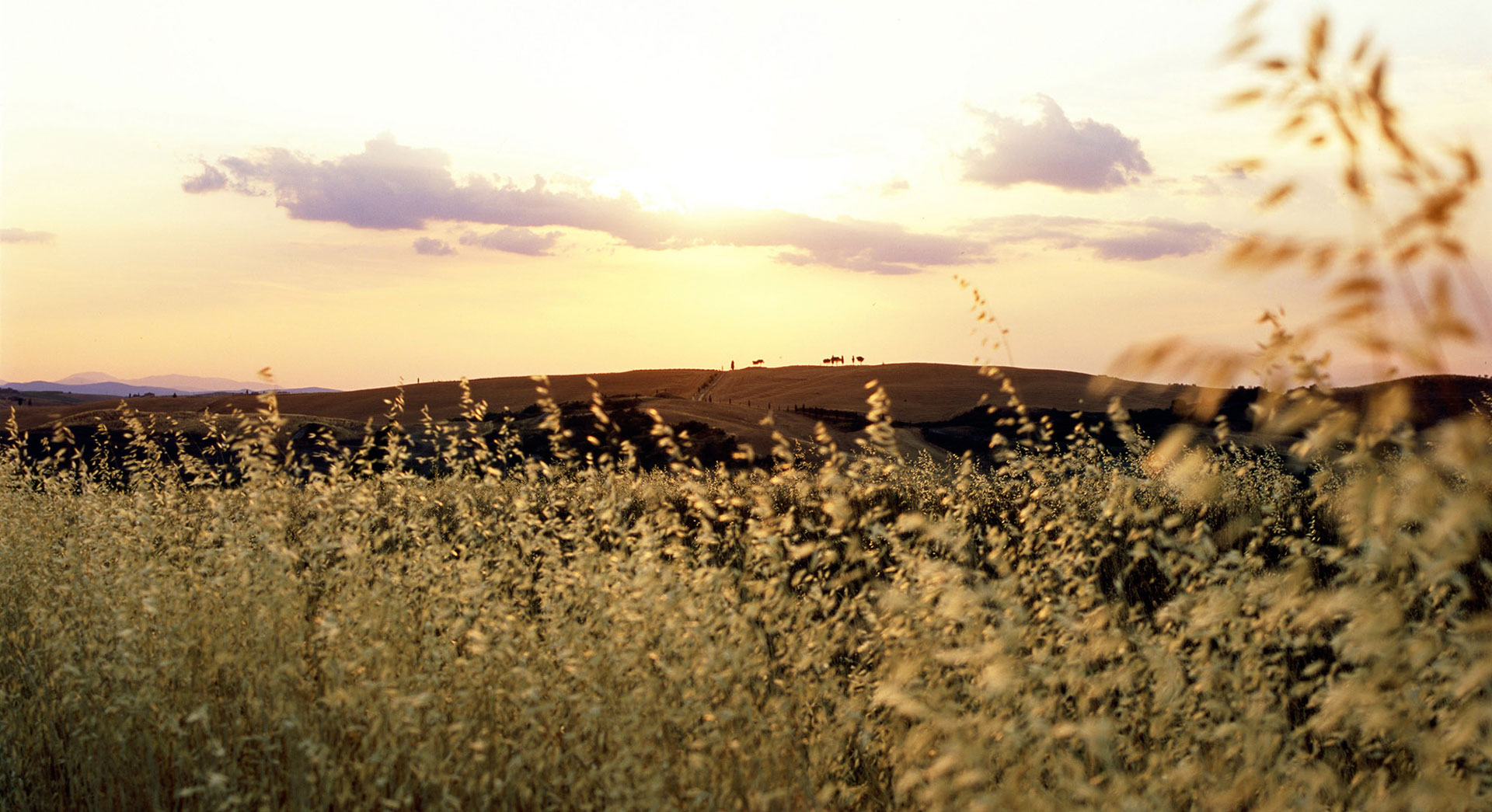 VAL D’ORCIA